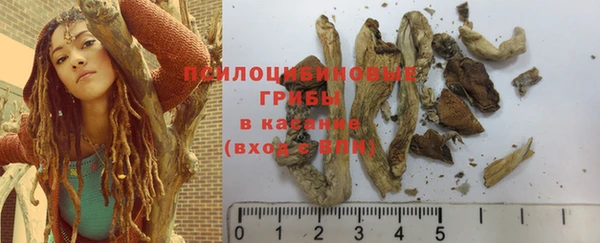 ГАЛЛЮЦИНОГЕННЫЕ ГРИБЫ Армавир
