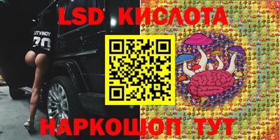 прущие крисы Сланцы
