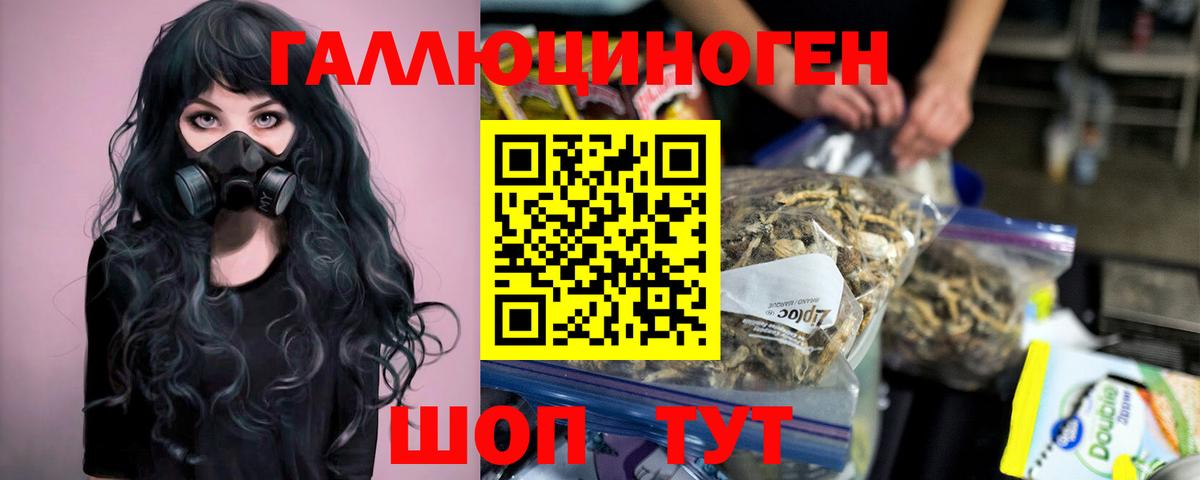 Псилоцибиновые грибы Cubensis  Вход с VPN  Сердобск 